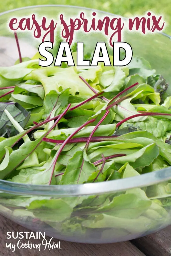 Close up image of a spring mix salad consisting of leafy greens
