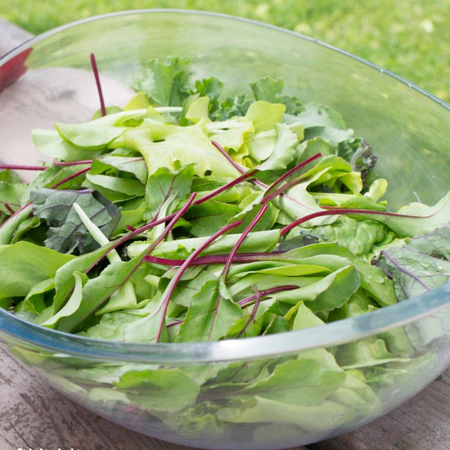 Spring leaf salad with beet leaves and lettuce