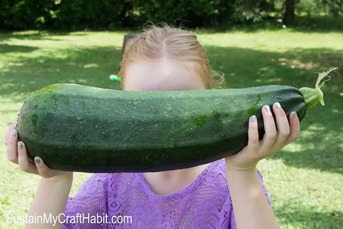 Child holding up an extra large zucchini squash used in a chicken shish kabob recipe
