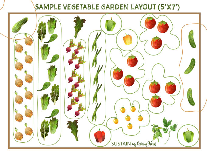 Sketch of a sample vegetable garden layout