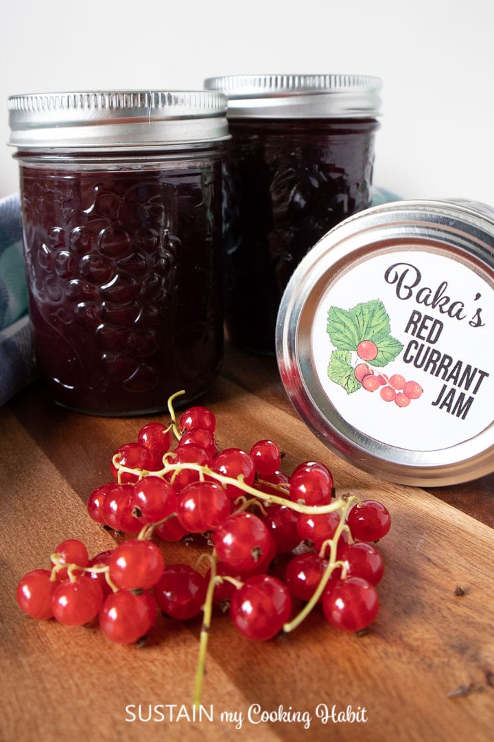 Red Currant Jam Recipe Sustain My Cooking Habit