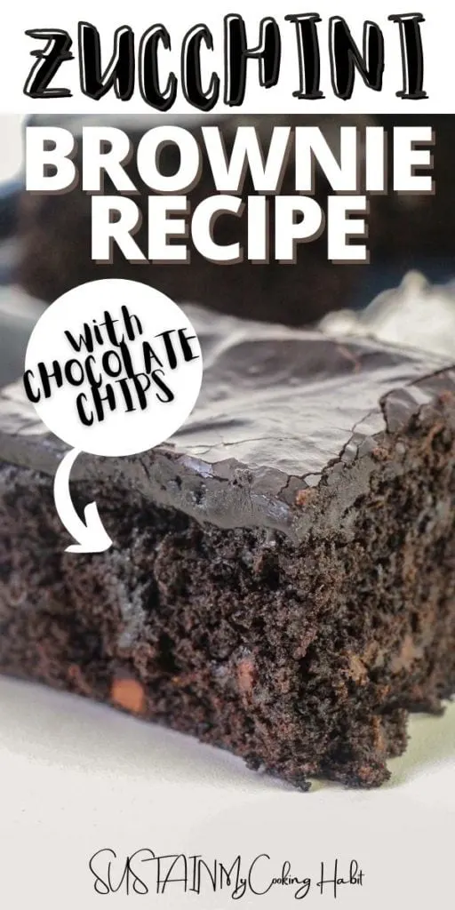 Double chocolate Zucchini brownie with text overlay.