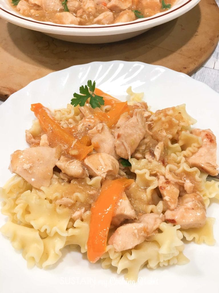French onion chicken sauce and vegetables poured over noodles. 