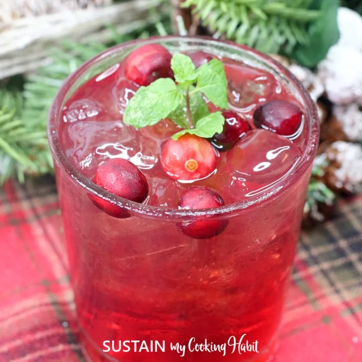 Close up view of the mint and cranberry garnish floatining on top of the tequila and cranberry spritzer in a clear glass.