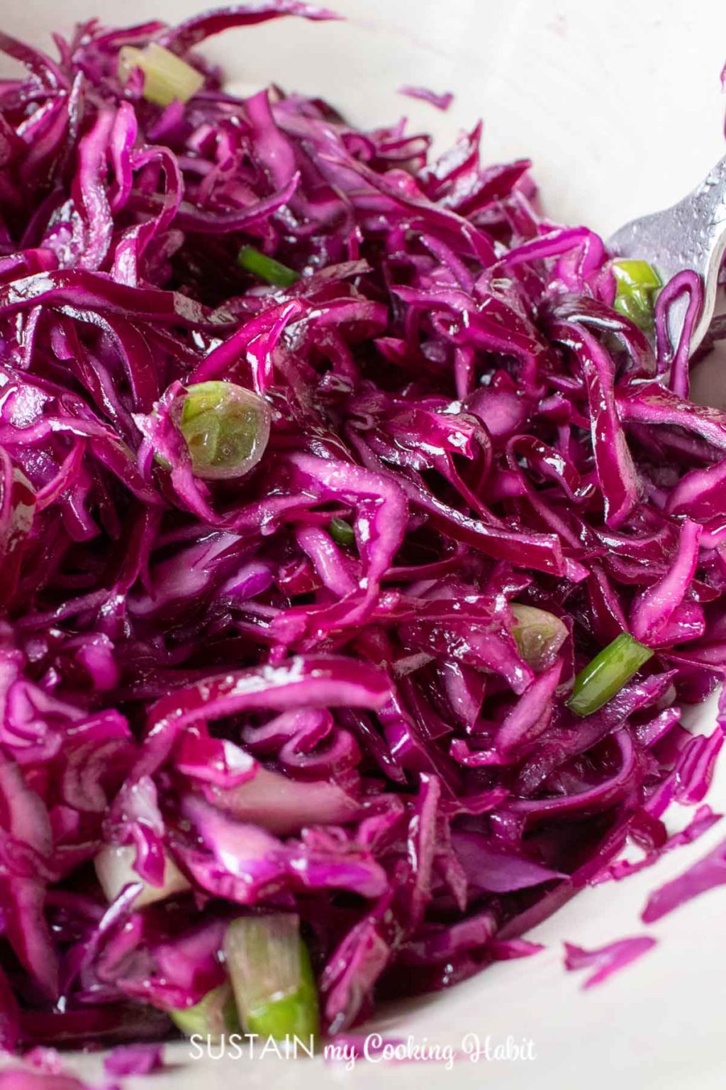 Simple Homemade Red Cabbage Coleslaw Recipe (no Mayo) Sustain My