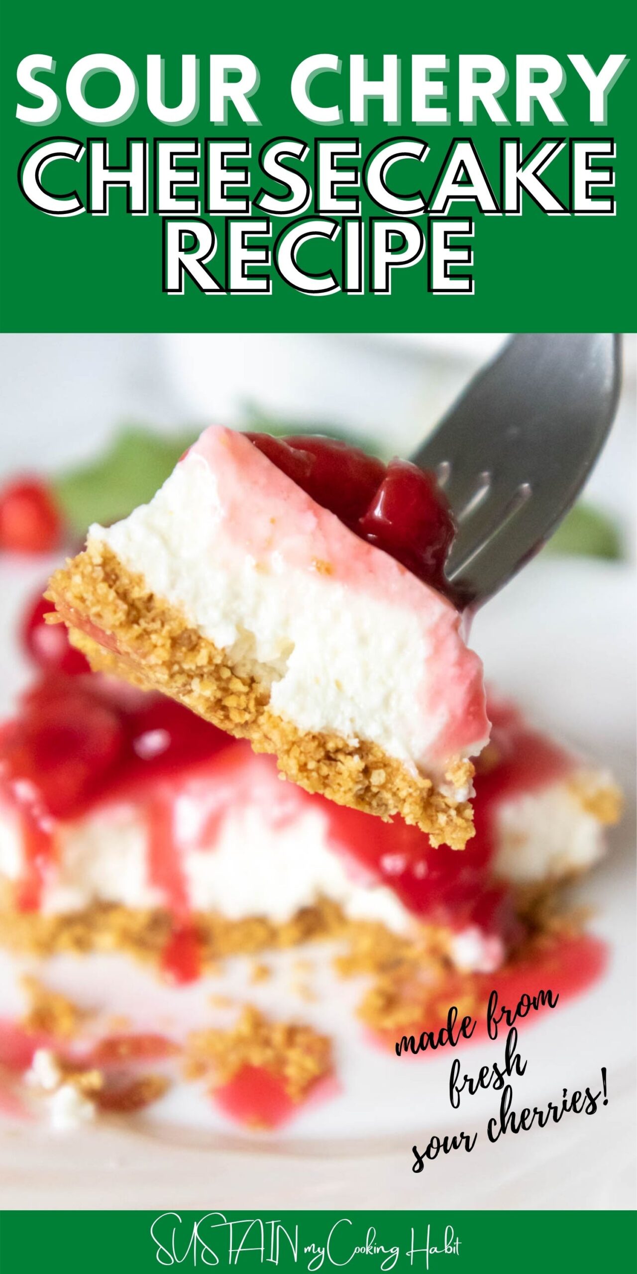 Sour Cherry Cheesecake From Scratch Recipe Sustain My Cooking Habit