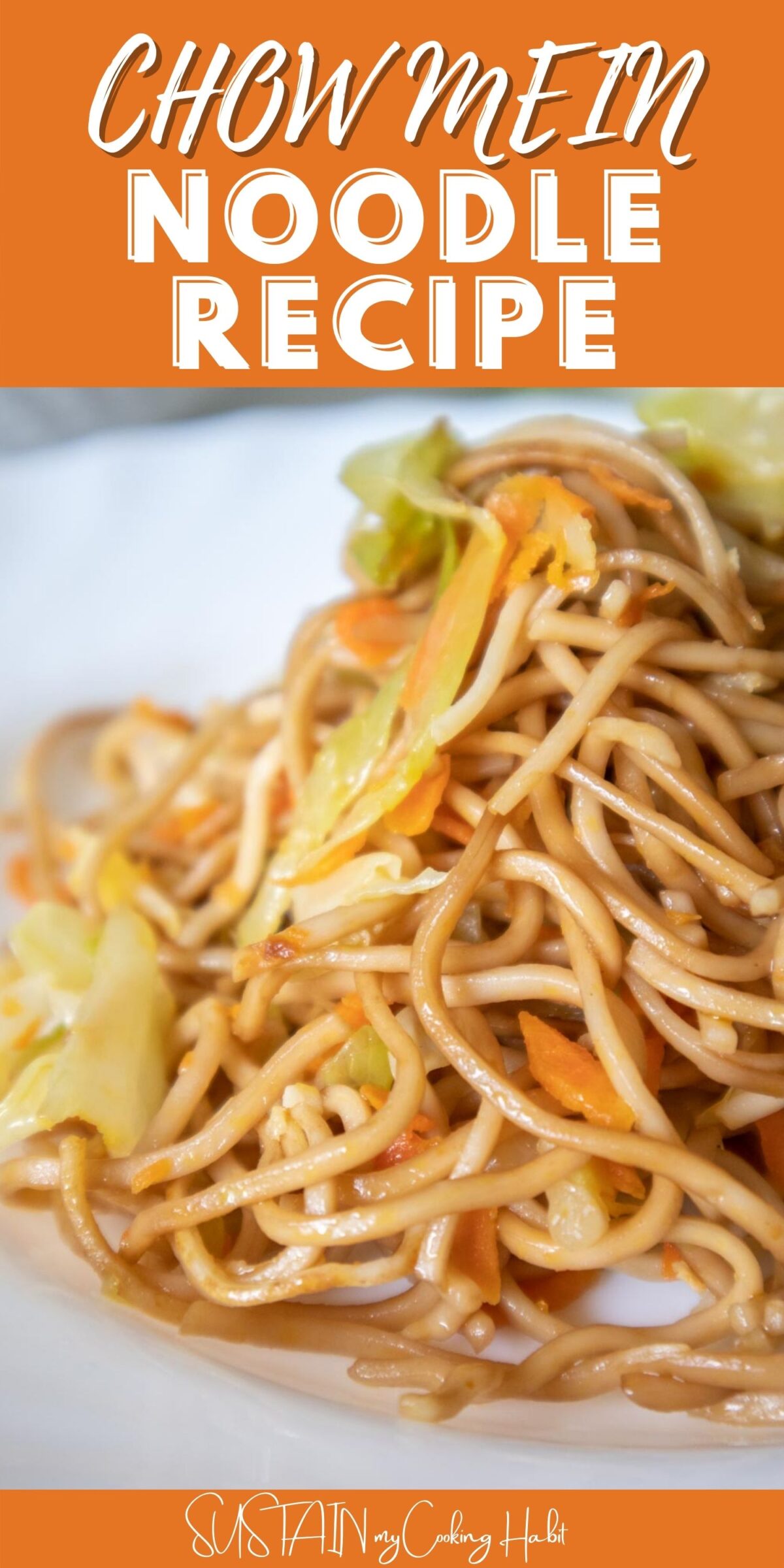 Close up of vegetarian chow mein with text overlay.
