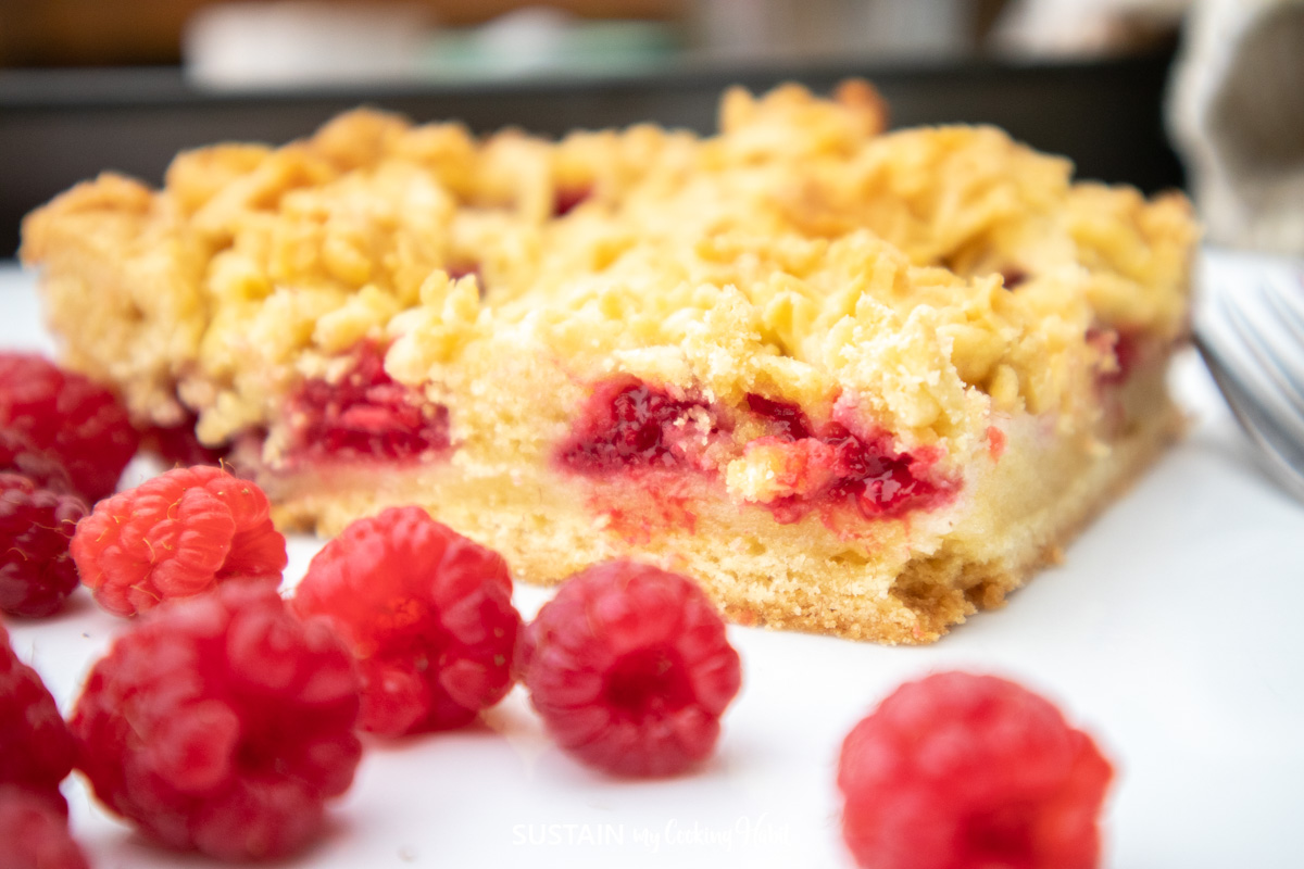 Delightful Raspberry Dessert Squares - Sustain My Cooking Habit