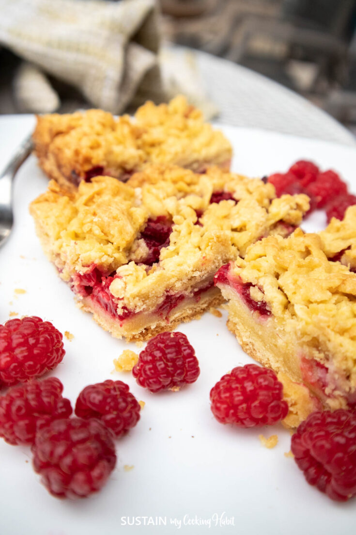 Delightful Raspberry Dessert Squares - Sustain My Cooking Habit