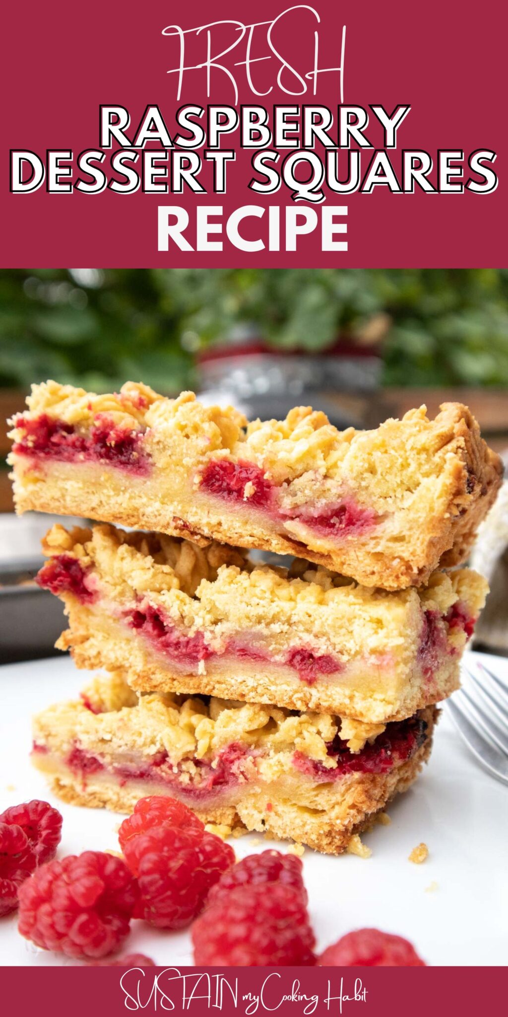 Delightful Raspberry Dessert Squares - Sustain My Cooking Habit