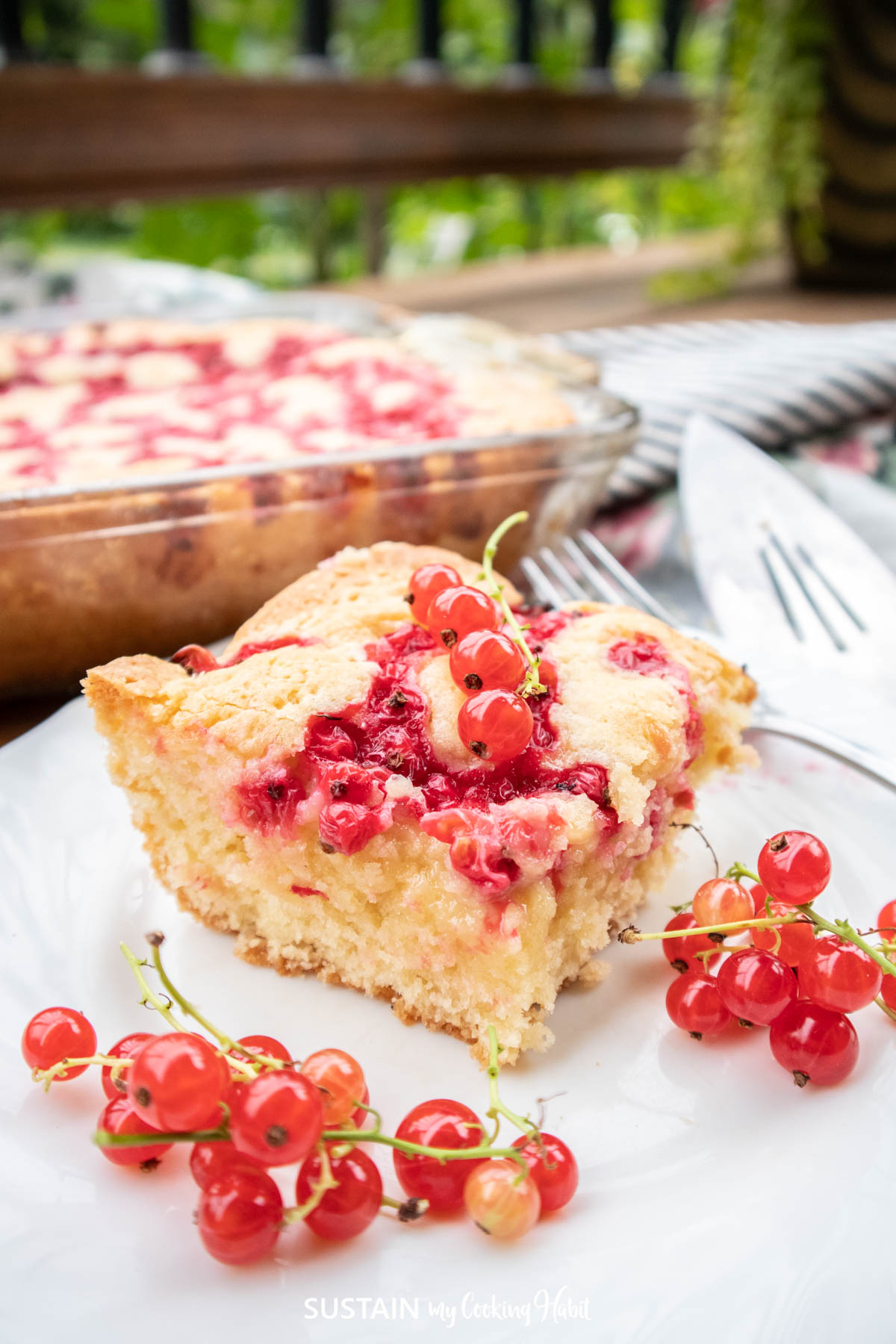 Slice of red currant cake on a plate with fresh red currants.