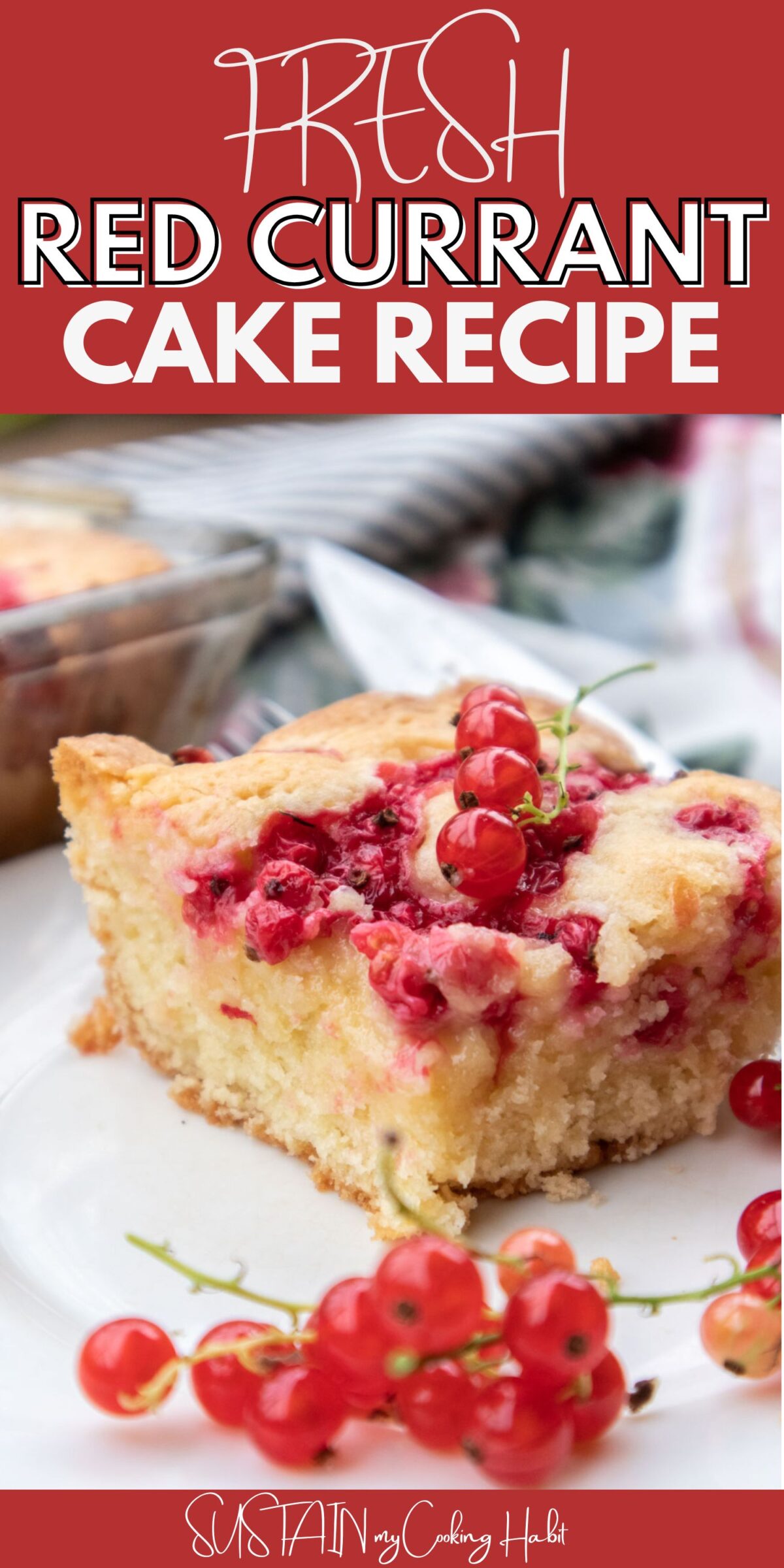 Close up of slice of red currant cake with fresh currants and text overlay.