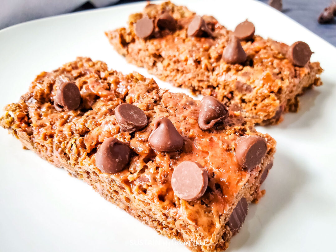 Delicious Double Chocolate Protein Bar Recipe Sustain My Cooking Habit