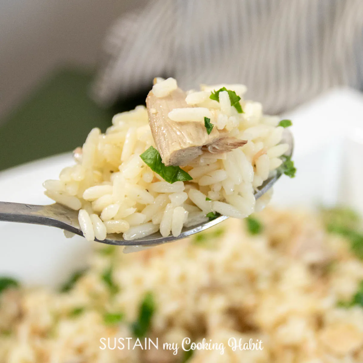 Spoonful of turkey and rice.