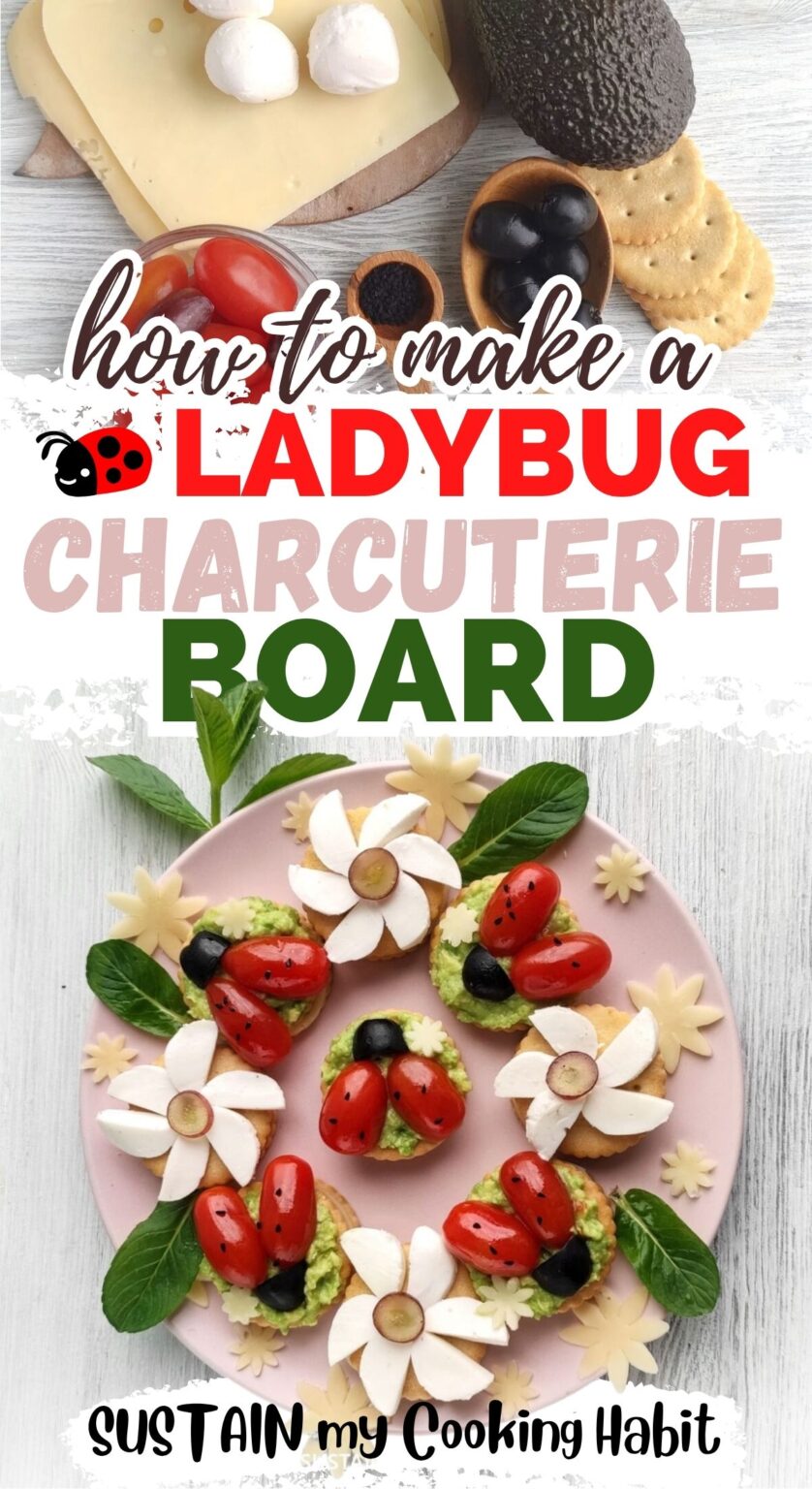 Ladybugs Cooking Lady Bug Charcuterie Board Idea - Sustain My Cooking Habit