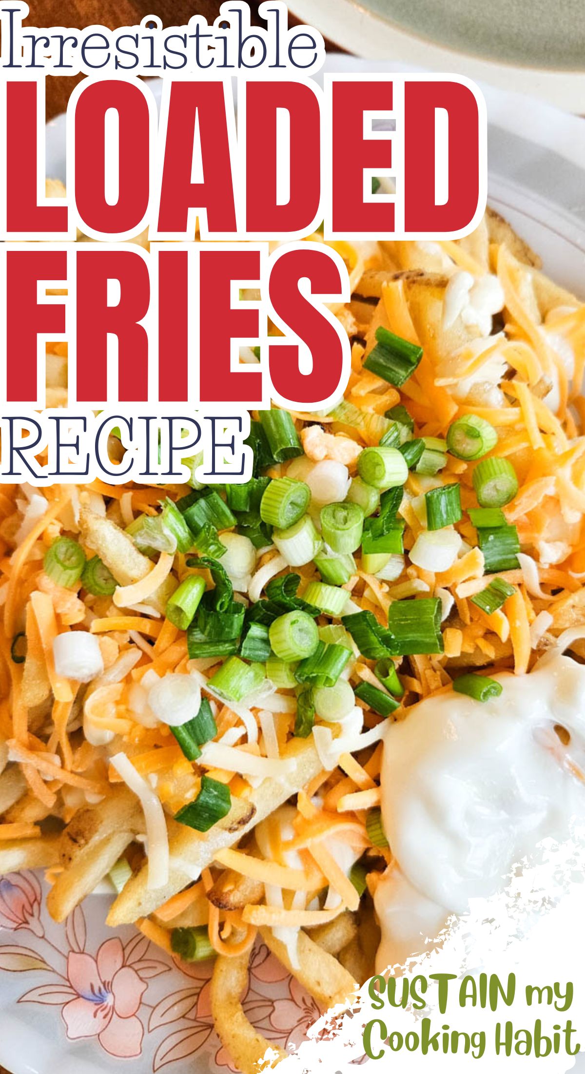 Close up of loaded french fries with text overlay.