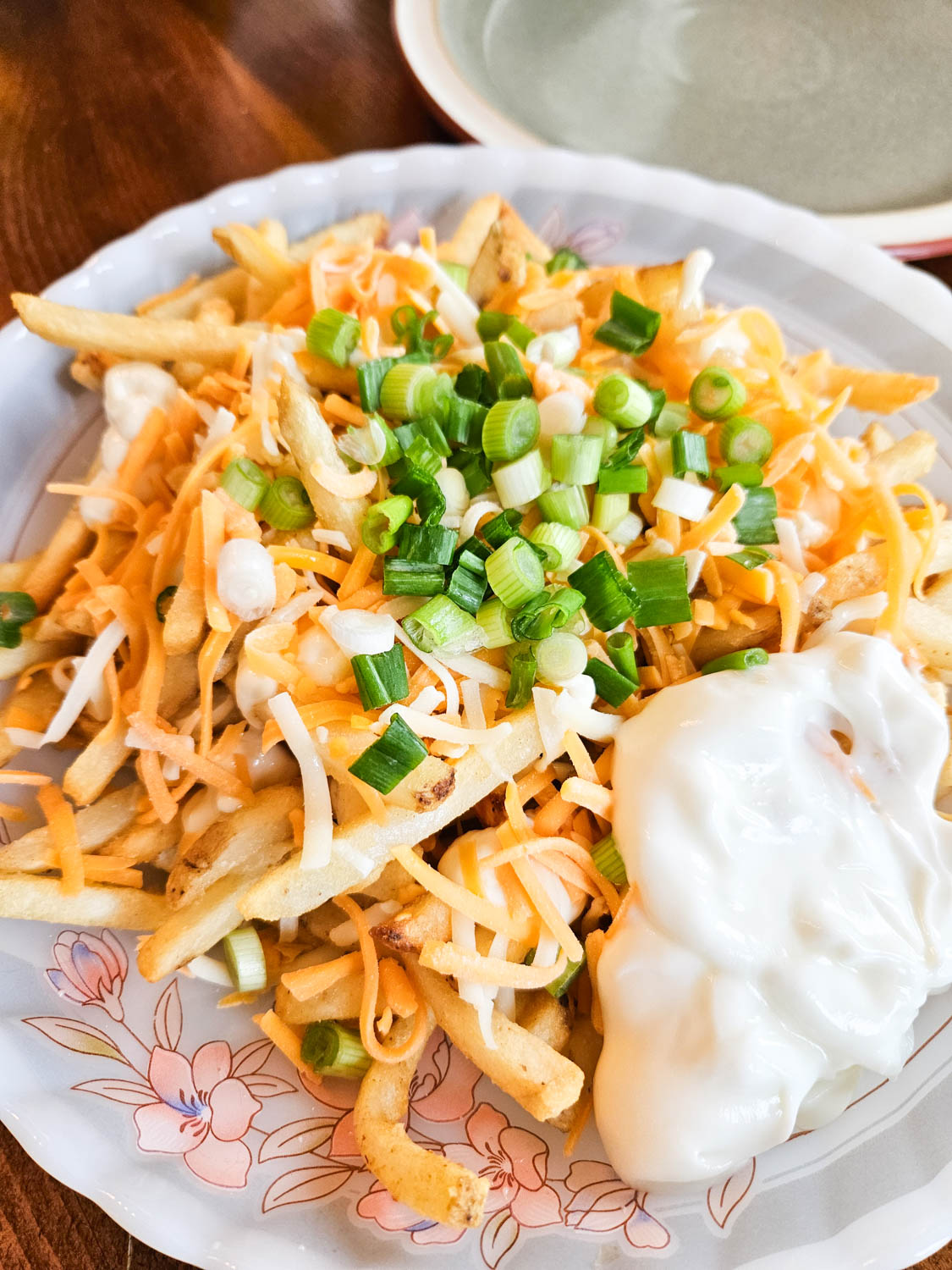 Loaded french fries on a plate covered with sauce, cheese, onions and sour cream.