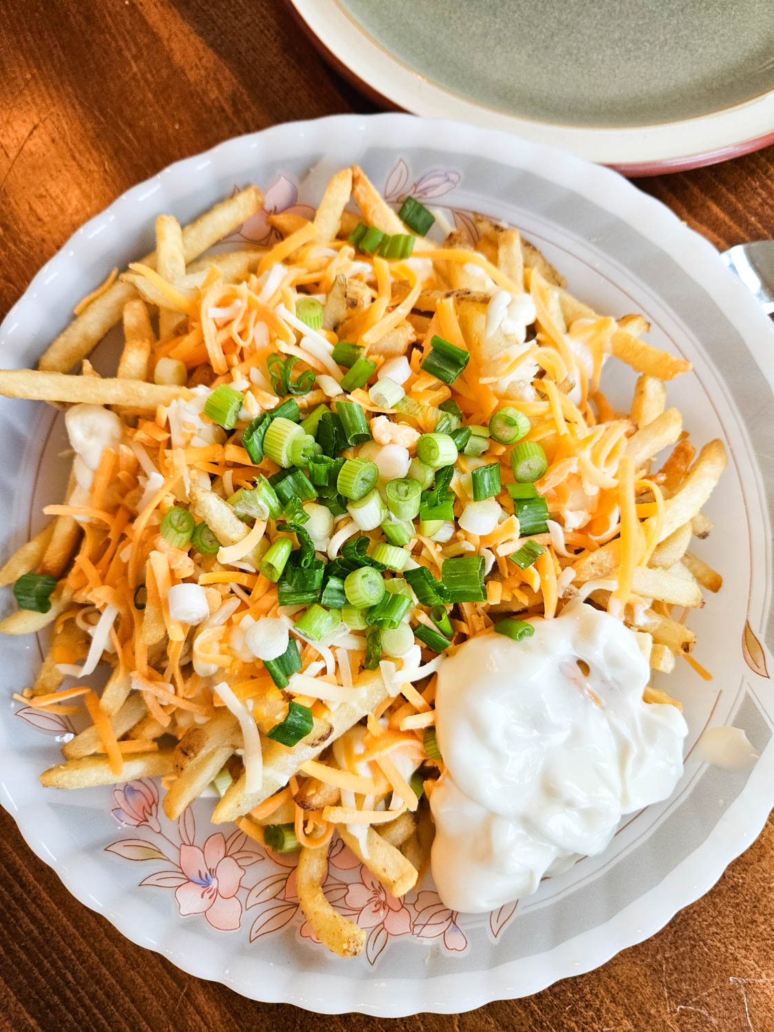 Overhead view of loaded french fries on a plate covered with sauce, cheese, onions and sour cream.