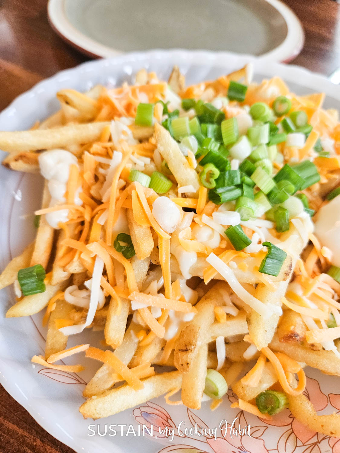 Close up of french fries covered with cheese and green onions.