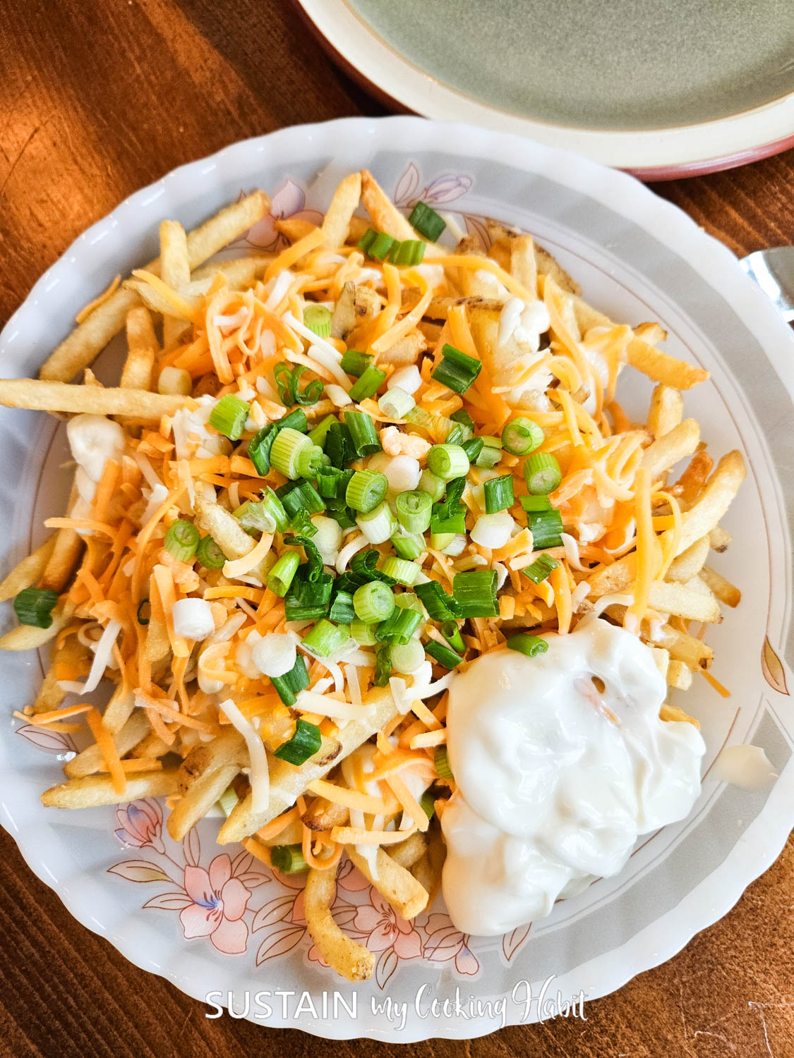 Loaded french fries on a plate covered with sauce, cheese, onions and sour cream.