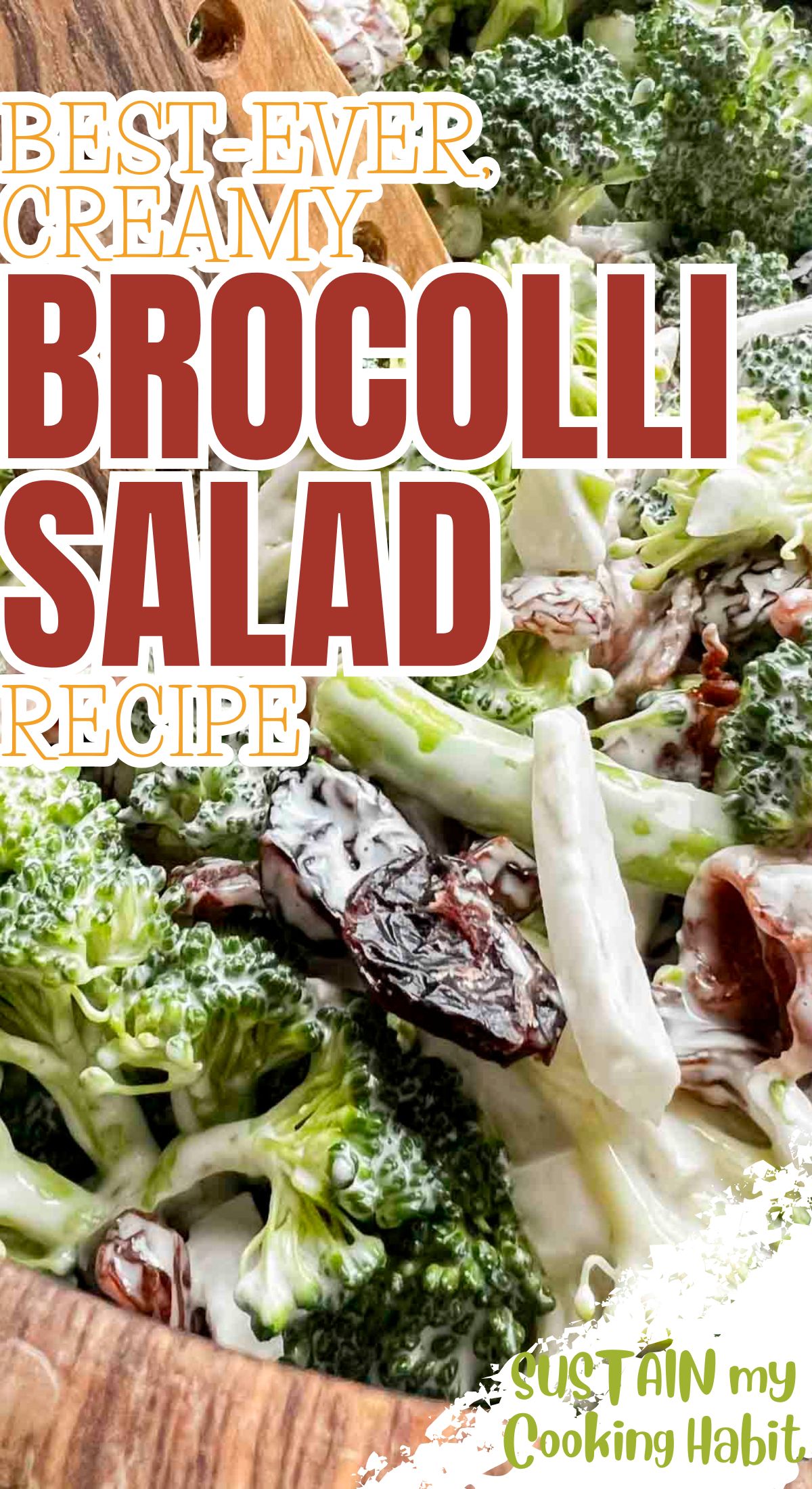 Close up of broccoli and craisin salad with text overlay.