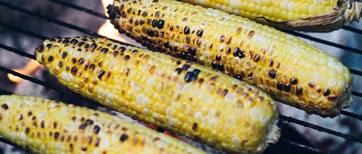 corn on the cob roasting on a campfire grill