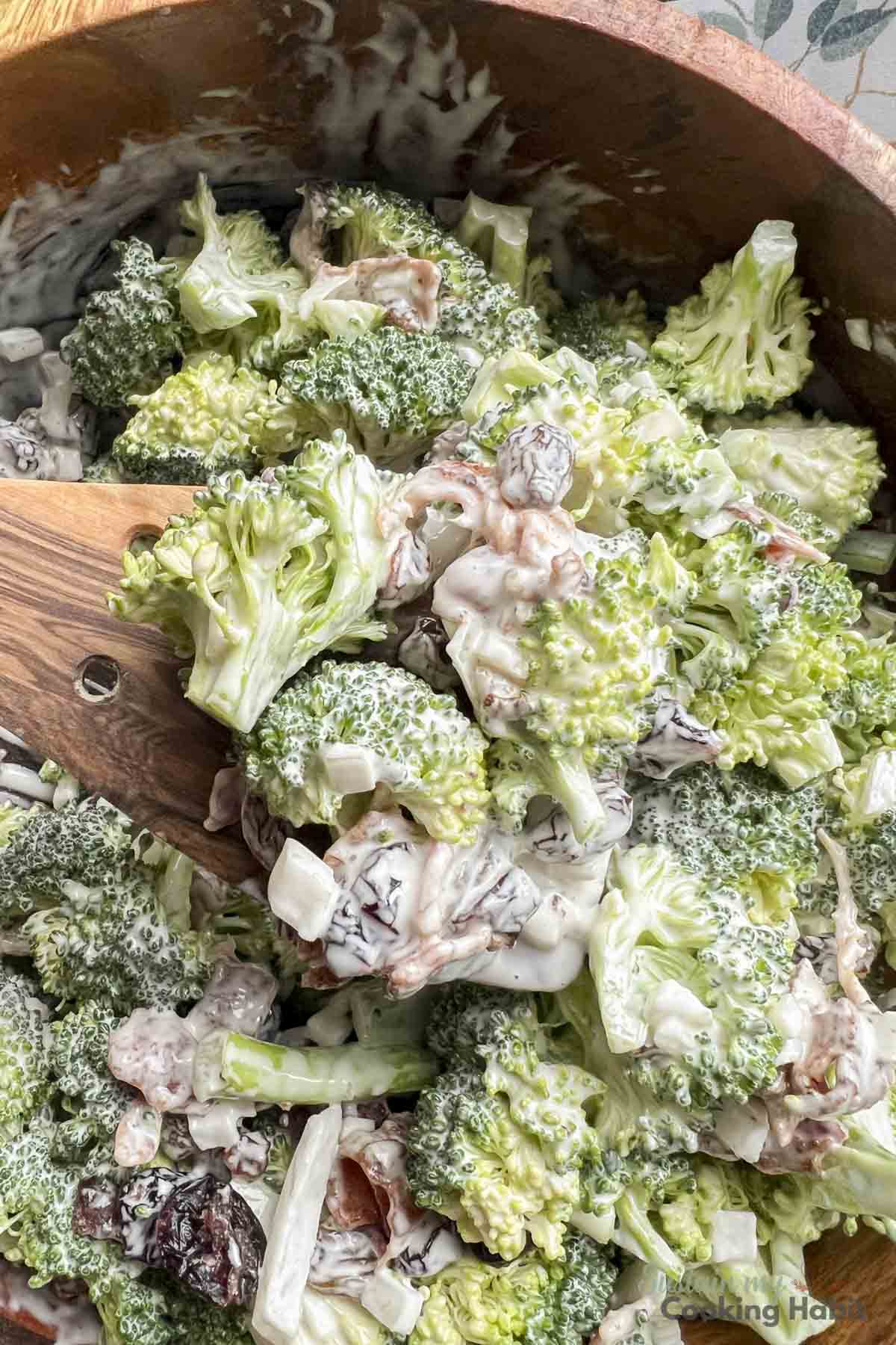 Spoonful of broccoli and craisin salad.