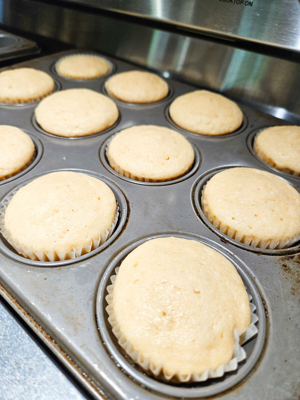 Cupcakes in a muffin pan.