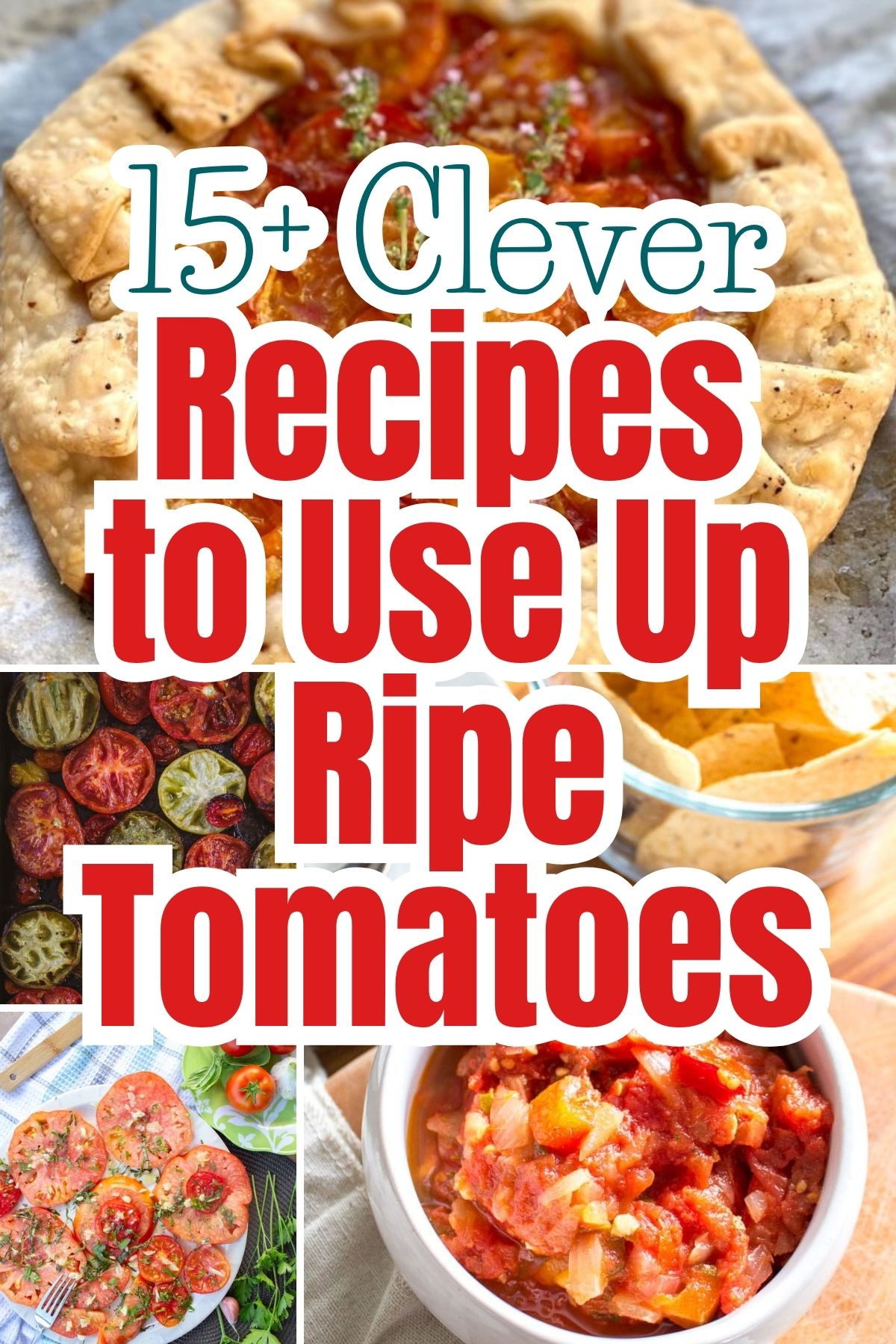 15+ Clever Recipes to Use Up Ripe Tomatoes