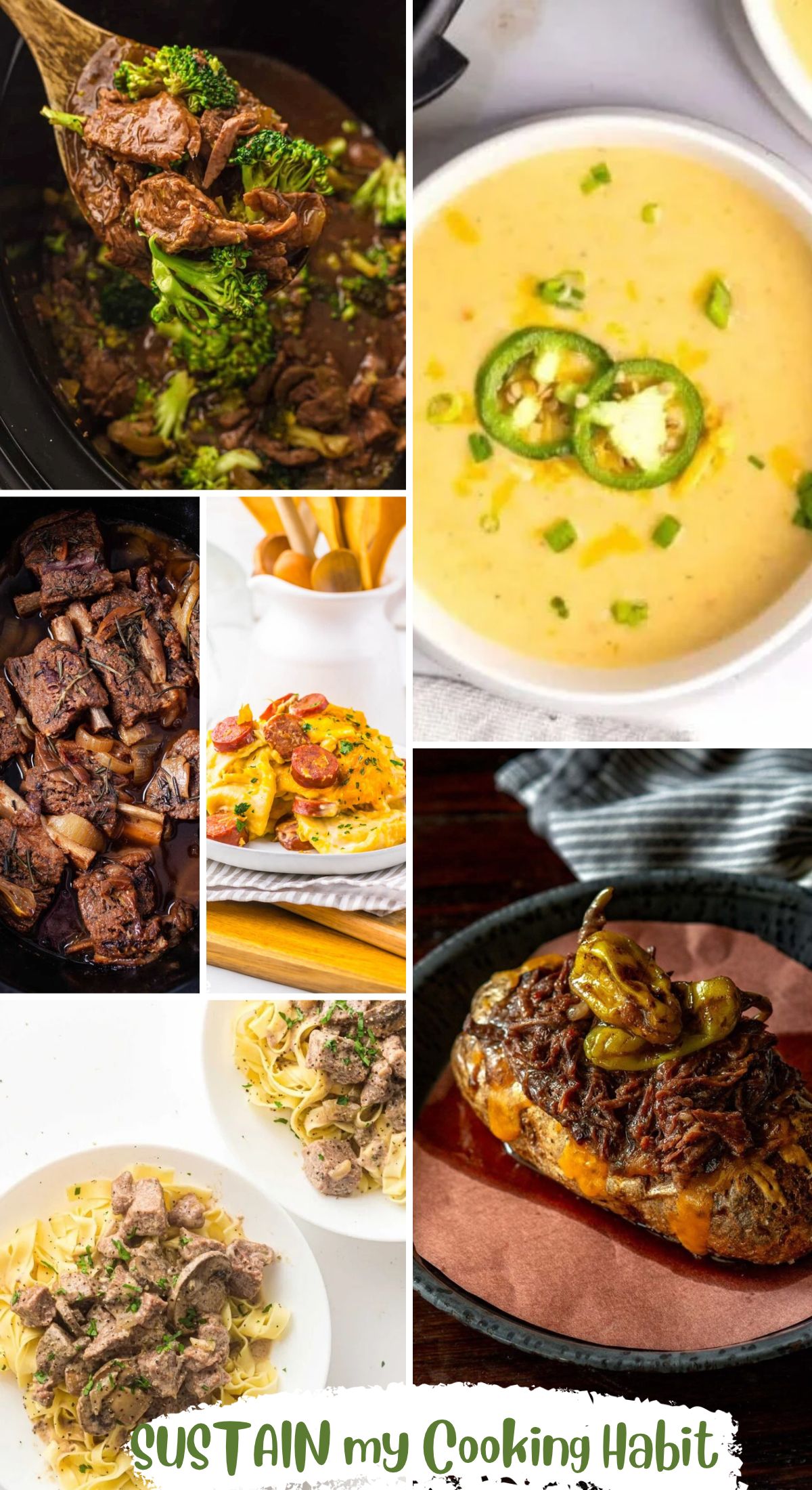 gallery of slow cooker dinner ideas